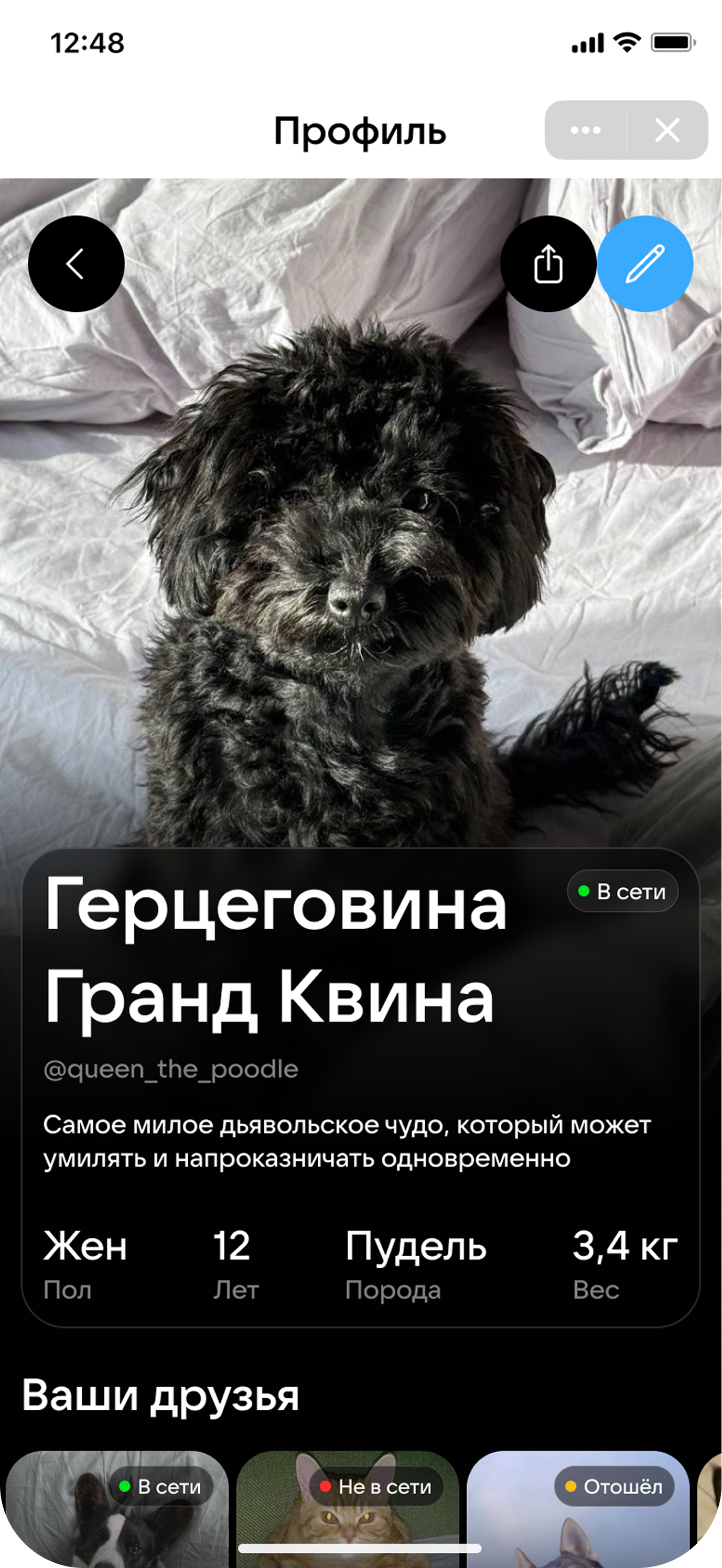 Pragmatica x VK — скриншот 6