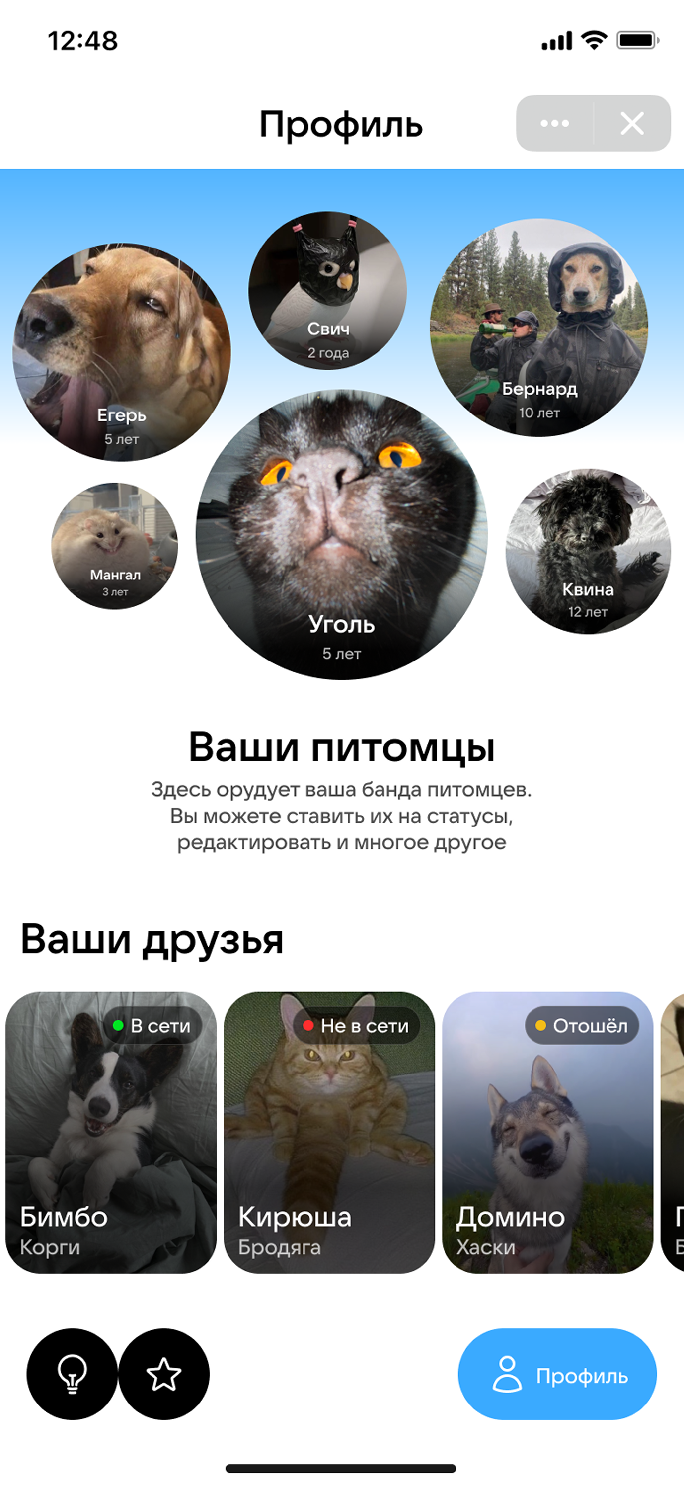 Pragmatica x VK — скриншот 7